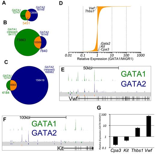 Figure 3. The intersection of GATA1 and GATA2 binding site sets reveals GATA1-selective, GATA2-selective, and GATA switch binding sites. (A) Venn diagram showing the intersection of binding sites between the sets of GATA1 and GATA2 binding sites. A total of 43% of GATA1-bound sites and 30% of GATA2-bound sites are GATA “switch sites.” (B-C) Intersection of GATA1 and GATA2 ChIP-Seq binding sites using relaxed binding site identification parameters (P < .01) for one of the factors to allow for identification of a high confidence set of GATA1-selective or GATA2-selective binding sites. (D) Bar graph showing the expression profiles of 3321 GATA switch-bound genes. Data are depicted as relative average expression in GATA1-restored condition compared with the MIGR1 vector control condition. Two of the most strongly induced genes (Vwf and Thbs1) are indicated on the plot. Cpa3, Kit, and Gata2 are strongly repressed by GATA1 restoration and are also indicated on the plot. (E-F) GATA1 and GATA2 binding profiles at the Vwf and Kit loci as in Figure 2F through H. (G) Real-time quantitative PCR to confirm down-regulation of Cpa3 and Kit and the induction of Thbs1 and Vwf following GATA1 restoration in G1ME cells. PCRs were performed in triplicate from biologic duplicates 72 hours after infection. Bars represent the mean relative expression in GATA1-restored condition compared with the MIGR1 vector control condition; error bars represent SD.