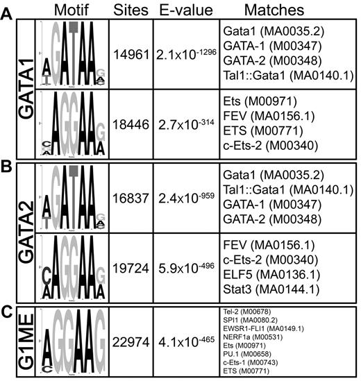 Figure 4. GATA-1 and GATA-2 occupied genomic sites are highly enriched for GATA and ETS motifs in megakaryocytes. DREME motif identification of 500-bp sequences surrounding each of the (A) 12 747 GATA1 and (B) 18 149 GATA2 binding sites relative to a shuffled background control. (C) Most enriched motif identified by DREME in megakaryocytic GATA1 binding sites compared with the erythroid GATA1 binding sites as background sequence. The “Motif” column displays the sequence logo generated from the position-weight matrix of the overrepresented motif. The “Sites” column is a count of the number of times a sequence matching the motif appears within the collection of binding site genomic regions. Note that a motif may appear more than one time within a single binding region. “E-value” is a statistical measure of the overrepresentation of the motif; values closer to zero are more statistically significant. The “Matches” column shows the 4 best matches to the motif position-weight matrix from TOMTOM. In parentheses are the unique identifiers for the transcription factor motifs from the Jaspar or Transfac databases.