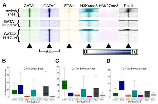 Figure 6. GATA switch sites have higher H3K4me3 and Pol II signals than single-factor bound sites. (A) Tag density heatmaps as in Figure 5A for each of the 5451 GATA switch sites (top), the 4184 GATA1 selective binding sites (middle), and the 7840 GATA2 selective binding sites (bottom). (B-D) Box-and-whisker plots show the tag counts for genomic regions bound by GATA1 and/or GATA2, as in Figure 5E through G.