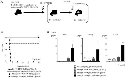 Figure 4. Alloantigen expression and GVHD. (A) Experimental schema: the F→F, F→M, and M→F chimeras were generated such that male Ags are either not expressed or expressed only on the target tissues or only on the hematopoietic-derived cells. These chimeras were then irradiated and transplanted with Marilyn T cells along with TCD WT B6♀ BM cells and were monitored for (B) survival and (C) Serum levels of TNF-α, IFN-γ, and IL-17A on day 5. Data are from 1 of 2 similar experiments.
