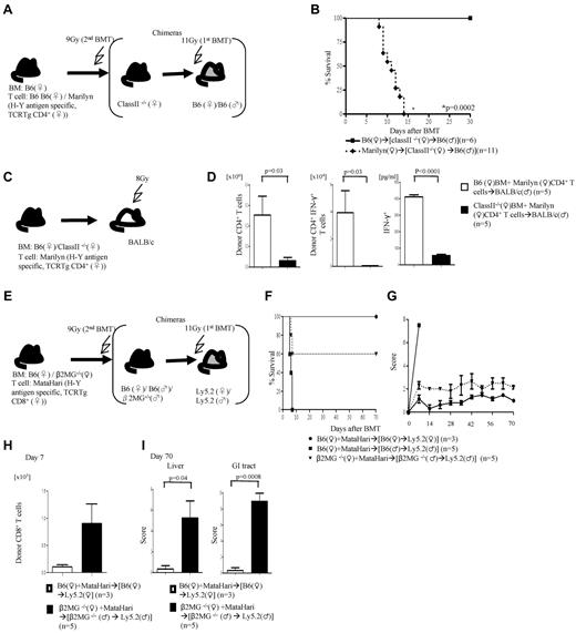 Figure 5. Presentation by donor and host nonhematopoietic APCs. (A) Experimental schema: B6♂ animals underwent thymectomy and were used for generation of (class II−/−♀→B6♂) chimeras. Three months later, these chimeras were irradiated and transplanted with either B6 or Marilyn T cells and monitored for (B) survival. Data are from 2 combined experiments. (C) Donor APCs alone stimulate GVH responses. Experimental schema: TCD BM from either WT or class II−/− B6♀ were transplanted along with WT or Marilyn T cells into lethally irradiated BALB/c males. (D) Total donor H2Kd+CD4+ T-cell expansion, H2kd+CD4+IFN-γ+ T-cell number, and serum IFN-γ concentration from day 7. Data are from 1 of 2 similar experiments. (E-I) Induction of GVHD in the absence of donor and radiosensitive host hematopoietic-derived APCs. (E) Experimental schema: B6Ly5.2 female and male animals were lethally irradiated, treated with anti–natural killer (NK) Ab and transplanted with either WT B6 or β2m−/− BM. Three months later, these chimeras were transplanted with TCD BM from either WT or β2m−/− B6♀ animals along with MataHari T cells. The animals were monitored for (F) survival and (G) clinical score. Data from 1 of 3 similar experiments are shown. (H) Donor CD45.2+CD8+ T cells expansion in spleen and (I) histopathology scores of liver and GI tract. Data from 1 of 2 similar experiments are shown.