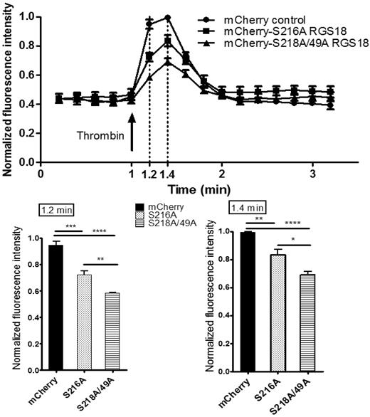 Figure 5. Removal of 14-3-3 activates RGS18 function. HEK293T cells were transfected with the mCherry-tagged RGS18 constructs S216A or S49A/S218A or the pmCherry vector as a control. Cells were then stained with 0.5μM Fluo-4, a Ca2+ dye, for 25 minutes at 37°C. Ca2+ responses and mCherry transfection efficiency measurements by flow cytometry were performed using an Accuri C6 flow cytometer. Fluo-4–stained single cells that contained Cherry constructs were visualized using a 488-nm laser and 530 ± 15/675LP filter combination. Cells were stimulated with 0.1 U/mL of thrombin (arrow) and intracellular Ca2+ changes were monitored as changes in Fluo-4 fluorescence. Data from 4 independent experiments performed in triplicate were normalized as indicated in “Methods” and are shown as means ± SEM. Thrombin stimulation was carried out at time point 1.0 minutes. Measurements taken at time points 1.2 and 1.4 minutes are shown as separate bar charts (bottom panels). Statistical analyses of data were performed using 1-way ANOVA in combination with the Bonferroni posttest. ****P < .0001; ***P < .001; **P < .01; *P < .05. mCherry-S216A-RGS18– and mCherry-S218/49A-RGS18–transfected cells display a significantly lower increase in Ca2+ compared with mCherry-transfected control cells (time point 1.2 minutes, P < .001 and P < .0001, respectively; time point 1.4 minutes, P < .01 and P < .0001, respectively). Comparing 14-3-3–deficient RGS18 (mCherry-S218/49A-RGS18) with 14-3-3–bound RGS18 (mCherry-S216A-RGS18), Ca2+ peaks are significantly lower in cells transfected with 14-3-3–deficient RGS18 (time point 1.2, P < .01; time point 1.4, P < .05).