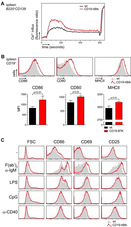 Figure 2. Btk overexpression specifically enhances BCR-mediated B-cell activation. (A) WT (black line) and CD19-hBtk (red line) B cells were stimulated with α-IgM F(ab′)2 fragments and Ca2+ mobilization was monitored and normalized for maximum influx on stimulation with ionomycin. Plots are representative for 4 mice of each genotype. (B) Flow cytometric analysis of in vivo expression of CD86, CD80, and MHCII on WT (gray) and CD19-hBtk (red line) CD19+ B cells. Graphs below summarize the MFI levels of these expression markers on WT (black bars) and CD19-hBtk cells (red bars; n = 4 per group). (C) Flow cytometric analysis of MACS-purified WT (gray) and CD19-hBtk (red line) naive B cells that were cultured in the presence of the indicated stimuli for 24 hours. Data are displayed as histogram overlays of the indicated markers; mice were 10 to 14 weeks old.