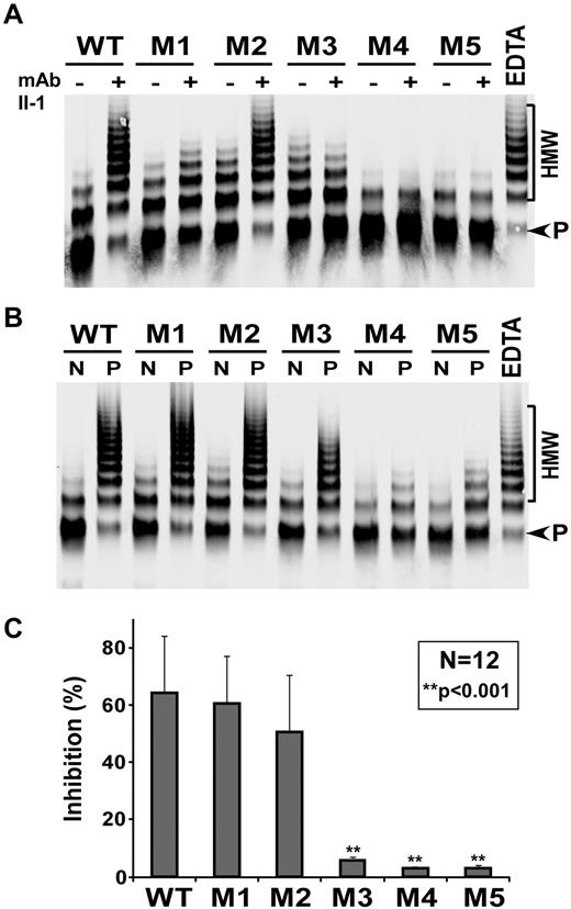 Figure 4. Inhibition of proteolytic activity of ADAMTS13 and variants by autoantibodies. Recombinant WT or variants M1 to M5 (final concentration of 0.2nM) was incubated without (−) or with (+) 35μM of mAb II-1 (A) or 5 to 10 μL of heat-inactivated normal human plasma (N) or plasma from TTP patient 1 (P; B) for 30 minutes. The residual activity was determined by the cleavage of multimeric VWF. EDTA (10mM) was included in the last lane as a negative control. The relative residual activity was determined by the ratio of product (P) to high molecular weight VWF (HMW) multimer using ImageJ Version 1.45m software and normalized to the activity in the presence of normal human plasma. (C) The percentage of inhibition (mean ± SD) by a panel of 12 TTP patient plasmas. **P < .001, statistically highly significant difference between WT and 3 variants (ie, M3, M4, and M5).
