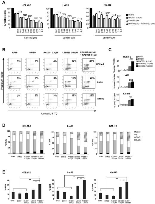 Figure 4. Effects of panobinostat (LBH589) and everolimus (RAD001) combination on the proliferation and the viability of HL cell lines. (A) Cells were treated with 0.02 to 0.1μM of LBH589 or 0.1μM of RAD001 or in combination for 48 hours, and cell viability was determined by an MTS assay. Each value represents the mean ± SEM of the results of 3 independent experiments performed in triplicate. **P < .005. (B) HL cell lines were treated or not with 0.02μM of LBH589 and/or RAD001 for 48 hours. Apoptosis was determined by annexin V–FITC/propidium iodide double staining. Percentages of cells showing apoptosis (combined right quadrants) are shown in the boxes. (C) Summary of the results of annexin V–FITC/propidium iodide double staining from 3 independent experiments. Each value represents the mean of 3 independent experiments performed in triplicate. **P < .005. (D) Cells were incubated with LBH589 (0.02μM) and/or RAD001 (0.1μM) for 48 hours, and the cell cycle was analyzed by flow cytometry using propidium iodide staining. The combination of panobinostat with everolimus significantly increased the percentage of cells in the G2/M phase. Each value is the mean of 3 independent experiments. (E) Summary of the percentage of cells in G2/M phase. **P < .005.