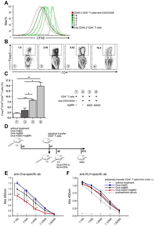 Figure 7. CD4+ T cells proliferating in presence of regMΦ are T-cell immunosuppressive in vitro and in vivo. (A) CD4+ T cells proliferating in the presence of regMΦ gain T-cell immunosuppressive capacity. CD45.1+CD4+ T cells (2 × 105) were stimulated with anti-CD3/CD28 dynabeads in the presence of 4 × 104 regMΦ. Five days later, CD4+ T cells were again sorted by MACS to obtain CD45.1+CD4+ T cells. Together with anti-CD3/CD28 dynabeads these cells were cocultured with MACS-purified, CFSE-labeled, CD45.2+CD4+ T cells at the ratios indicated. Five days later, proliferation of CD45.2+CD4+ T cells was analyzed by flow cytometry. Cells were gated on the DAPI−CD45.2+CD4+ population. Data are representative of at least 3 independent experiments. (B) Expression of Foxp3 by CD4+ T cells cultivated in the presence of regMΦ. CD4+ T cells (2 × 105 C57BL/6) were stimulated with anti-CD3/CD28 dynabeads in the presence of 8000 or 4 × 104 regMΦ as indicated. Five days later, cells were stained intracellularly with anti-Foxp3 mAb. Gates were set on CD4+ cells. Numbers adjacent to gated areas indicate the percentage of Foxp3+CD4+ Treg. Number in circles indicate experimental conditions described in panel C. (C) Statistical analysis of (B; mean ± SEM, n = 3). Similar results were obtained in another 2 experiments. (D-E) CD4+ T cells from mice immunized with OVA-maDCs in the presence regMΦ transmit antigen-specific immune suppression in vivo. (D) Experimental setup of in vivo immune tolerance induction. At day 0 syngeneic C57BL/6 mice intravenously received, OVA-maDCs, OVA-regMΦ, or OVA-maDCs together with regMΦ. At day 7, CD4+ T cells were isolated from LNs and spleen of different groups and 5 × 106 cells/mouse were adoptively transferred into another cohort of naive C57BL/6 recipients. At day 8 these mice were immunized with OVA or KLH in CFA, and at day 15 mice were bled. Serum IgG1 levels against OVA (E) or KLH (F) were measured by ELISA. Serum was diluted serially as indicated (values represent mean ± SEM; 3 mice per group were analyzed). Similar data were obtained in a second experiment.
