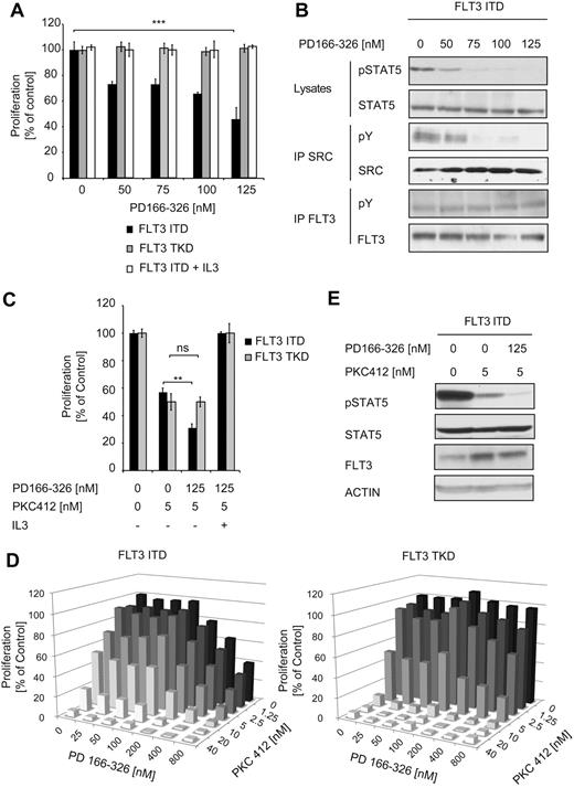 Figure 3. The effect of SRC inhibition on FLT3 mutant–expressing cells. (A) Cells (32D) stably expressing FLT3-ITD or FLT3-TKD were cultured in the presence of the inhibitor PD166-326 at the indicated concentrations with or without IL-3. The proliferation was measured after 48 hours using an MTT-based assay. Data are presented as the percentage of DMSO-treated cells and represent values ± SD of triplicates. One representative of at least 3 independent experiments is shown. Statistical analysis was conducted. ***P < .001; **P < .01; *P < .05; and n.s. (no significance), P > .05. (B) Cells (32D FLT3-ITD) were treated with PD166-326 in serum-free and cytokine-free medium for 4 hours. The lysates were analyzed for STAT5 activation by immunoblotting. Immunoprecipitation of FLT3-ITD, followed by immunoblotting with pY and FLT3 Abs, was performed. Phosphorylation of SRC was analyzed by immunoprecipitation, followed by immunoblotting with anti-pY Ab. SRC expression was verified by anti-SRC immunoblotting. Activation of STAT5 was investigated by immunoblotting using pSTAT5 Ab. To confirm equal expression of FLT3 and equal loading, the membrane was reprobed with FLT3 and STAT5 Abs. (C-D) Cells (32D) stably expressing FLT3-ITD or FLT3-TKD were incubated for 48 hours with PD166-326 and PKC412 as indicated. The proliferative activity of the cells was determined by MTT assay. Data are presented as the percentage of DMSO-treated cells and represent values ± SD of triplicates. One representative of at least 3 independent experiments is shown. The median combinatory index for FLT3-ITD–expressing cells for effective dose 50 and 75 was determined as 0.34 using CalcuSyn Version II software (Biosoft) and indicated synergism. (E) Cells (32D) as described in panel A were starved for 6 hours in serum-free medium and treated with 125nM PD166-326 and 5nM PKC412 or PKC412 alone, and then the cells were lysed and subject to immunoblot analysis. The activation of STAT5 was determined using pSTAT5 Ab. To ensure equal loading and expression, the membranes were stripped and reprobed with FLT3 and ACTIN Abs.
