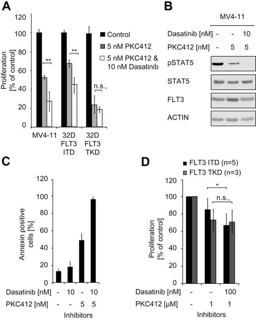 Figure 5. SRC is a signaling mediator in FLT3-ITD+ human AML cells. (A) Cells (32D) positive for FLT3-ITD or FLT3-TKD and FLT3-ITD+ MV4-11 cells were treated with PKC412 alone or in combination with PKC412 and dasatinib. The proliferation was assessed after 48 hours using the MTT assay. Data are presented as the percentage of DMSO-treated cells and represent values ± SD of triplicates. One representative of at least 3 independent experiments is shown. Statistical analysis was conducted. ***P < .001; **P < .01; *P < .05; and n.s. (no significance), P > .05. (B) MV4-11 cells were starved for 6 hours in serum-free medium in the presence of the indicated concentrations of PKC412 and dasatinib. After treatment, the cells were lysed and subjected to immunoblot analysis with regard to the activation of STAT5 (pSTAT5). To control equal loading, the membrane was stripped and reprobed with a STAT5 and ACTIN Ab. (C) MV4-11 cells expressing FLT3-ITD were incubated in the presence of the indicated amounts of PKC412 and dasatinib for 48 hours. Flow cytometric analysis was performed after staining the cells with annexin V/propidium iodide. The total percentage of annexin V/propidium iodide–positive cells is shown. Data represent the values ± SD of triplicates. One representative of at least 3 independent experiments is shown. Statistical analysis was conducted. ***P < .001; **P < .01; *P < .05; and n.s. (no significance), P > .05. (D) AML patient samples expressing FLT3-ITD or FLT3-TKD were treated with PKC412 and/or dasatinib for 48 hours. Cell viability was determined using the MTT assay. Data are presented as the percentage of DMSO-treated cells and represent values ± SD of triplicates. One representative of at least 3 independent experiments is shown. Statistical analysis was conducted. ***P < .001; **P < .01; *P < .05; and n.s. (no significance), P > .05.