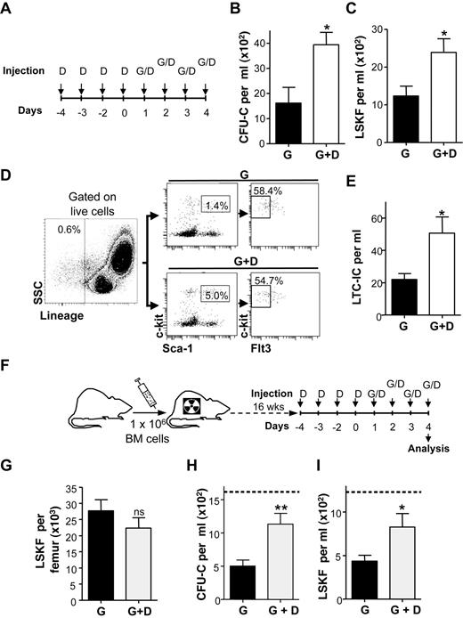 Figure 2. The NE reuptake inhibitor desipramine enhances G-CSF–triggered HSC/progenitor mobilization. (A) Treatment scheme of 8-week-old male C57BL/6 mice for HSPC mobilization using G-CSF in combination with desipramine. (B-C) Absolute numbers of CFU-Cs (B) or LSKF cells (C) in the peripheral blood of mice mobilized with G-CSF alone (G) or in combination with desipramine (G+D), respectively (n = 4-5). (D) Gating strategy and representative dot plots to determine LSKF numbers in the peripheral blood of mice mobilized with G-CSF alone or in combination with desipramine, respectively. (E) Long-term culture-initiating cells per milliliter in the blood of mice mobilized as in panel A (n = 4-5). (F) Experimental design to assess the effect of desipramine on G-CSF–induced mobilization in poor mobilizer mice. (G) LSKF cells per femur (n = 12-14) in poor mobilizer mice. (H-I) CFU-Cs (H) and LSKF cells (I) after mobilization in the peripheral blood of poor mobilizer mice (n = 8-7). Dashed lines indicate the mobilization values in nonirradiated mice as determined in panels B and C. *P < .05; **P < .005.