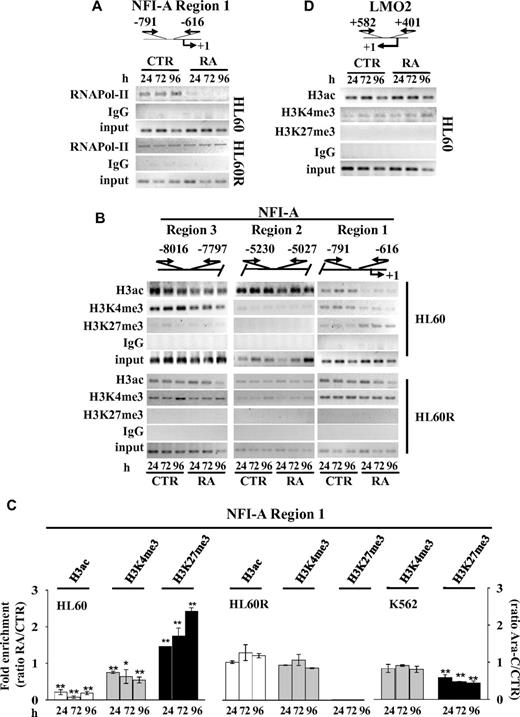 Figure 2. Chromatin state at NFI-A gene promoter. Top panels: Schematic representation of the NFI-A regions 1, 2, and 3 and LMO2 gene promoter regions. Numbers are the nucleotides relative to transcriptional start sites (+1) and indicate the location of the PCR primers used in ChIP assay performed at the indicated times in HL60 and HL60R cells in the absence (CTR) or in the presence of 1μM RA (RA) using: (A) anti–RNApol-II; (B) antiacetylated H3 (H3ac), (C) anti-H3K4me3, and (D) anti-H3K27me3 antibodies. Rabbit IgG was used as nonspecific antibody. Samples representing 0.02% of total input chromatin (input) were included in the PCR analysis. (C) Quantitative RT-PCR performed on NFI-A region 1 in ChIP assays using the indicated antibodies in HL60, HL60R treated as described above, and in K562 cells treated or not (CTR) with 0.5μM Ara-C (Ara-C). Data are plotted as the ratio of the values obtained in RA or Ara-C treated versus untreated cell samples. Error bars represents SD of 3 independent evaluations. *P < .05 vs untreated cells. **P < .01 versus untreated cells.