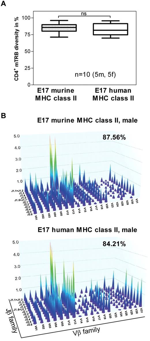 Figure 1. The degree of polyclonality of the naive CD4+ T-cell repertoire in E17 HLA-DRB1*1501 mice is similar to the degree of polyclonality in E17 mice expressing a murine MHC class II complex. Genomic DNA was isolated from splenic CD4+ T cells obtained from naive conventional E17 mice (E17 murine MHC class II) and naive E17 HLA-DRB1*1501 mice (E17 human MHC class II) and analyzed for the combinational diversity of V-J gene rearrangements of the T-cell receptor-β chain using multiplex PCR. (A) Box plots demonstrating the diversity of V-J gene rearrangements of the T-cell receptor-β chain (TRB) in naive conventional E17 mice (E17 murine MHC class II) and naive E17 HLA-DRB1*1501 mice (E17 human MHC class II) in percent (CD4+ mTRB diversity). Ten animals, 5 male (5m) and 5 female (5f), from each mouse strain were included in the analysis. ns indicates not significant. (B) Three-dimensional representation of the repertoire of the CD4+ T-cell receptor-β chain for one representative naive conventional E17 mouse (E17 murine MHC class II) and one representative naive E17 HLA-DRB1*1501 mouse (E17 human MHC- class II). Each peak represents the rearrangement of a family of V genes, relative to the rearrangement of the J genes. The intensity of these rearrangements is represented on the z-axis.