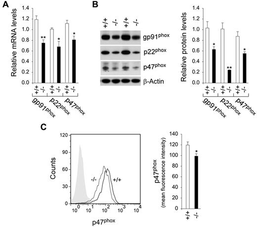Figure 4. Analysis of the expression of NADPH oxidase in G6pc3−/− macrophages. The CD11b-enriched macrophages used for function analysis were isolated from 6- to 8-week-old wild-type (+/+) and G6pc3−/− (−/−) littermates. (A) Quantification of gp91phox, p22phox, and p47phox mRNA in macrophages by real-time RT-PCR. Expression is normalized to β-actin and measured relative to 1 wild-type mouse arbitrarily defined as 1. Data represent the mean ± SEM of 4 independent experiments. (B) Western blot analysis of macrophage protein extracts with the use of Abs against gp91phox, p22phox, p47phox, or β-actin. Data from 2 pairs of littermates are shown, and each lane contains 50 μg of protein. The relative protein levels of gp91phox, p22phox, and p47phox were quantified by densitometry of 4 separate pairs of Western blots. The measurements are relative to β-actin. (C) Quantitative flow cytometric analysis of membrane-bound p47phox in macrophages. The gray tracing represents the fluorescence background. Data represent the mean ± SEM of 4 independent experiments. **P < .005 and *P < .05.