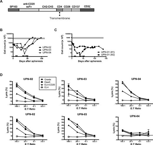 Figure 1. Expansion and cytotoxicity of modified T cells. (A) Schematic representation of the αCD20-28-BB-ζ chimeric receptor, not to scale. (B-C) Growth curves of ex vivo expanded T cells for the 3 treated patients (B) and of the 2 attempts to expand cells from patient UPN-01 (C). PBMCs collected by apheresis were stimulated with anti-CD3 Ab and IL-2, transfected by electroporation by the plasmid encoding the CAR shown in panel A, selected with G418, and restimulated every 12 to 15 days in a rapid expansion protocol. Black bars represent periods of G418 selection; and gray bar, the target cell dose range. (D) CD20-specific cytotoxicity of G418-selected autologous patient T cells was assessed with 5-hour chromium-release assays using the following 51Cr-labeled target cells: Granta cells (MCL), Daudi cells (Burkitt NHL), EL4 cells transfected to express CD20, or the parental EL4 cell line lacking CD20 expression. The cells were tested after G418 selection (top panels) and 54, 27, and 40 days later for the 3 patients at the time of T-cell infusions (bottom panels). Data represent the mean of triplicate values, and error bars represent SEM.
