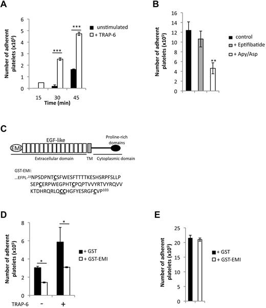 Figure 2. Platelet adhesion to PEAR1 extracellular domain. (A,B,D) Washed human platelets were plated by incubation for the indicated times at 37°C in wells precoated with PEAR1 extracellular domain (50 μg/mL) or (E) fibrinogen (200 μg/mL). (A) Kinetics of the adhesion of platelets stimulated or not with TRAP-6 (50μM). B) Role of αIIbβ3 and amplification pathways (ADP/ATP, TXA2) during platelet adhesion to PEAR1 for platelets activated with TRAP-6 (50μM). Platelets were either treated with apyrase (0.4 U/mL) and aspirin (550μM) before TRAP-6 stimulation or with eptifibatide (10 μg/mL) after TRAP-6 stimulation. Platelet adhesion was measured at 60 minutes. (C) Schematic representation of the modular architecture of PEAR1. Human PEAR1 is composed of an extracellular domain (comprising 1 EMI domain and 15 EGF-like domains), a transmembrane domain (TM, gray box) and a cytoplasmic domain (comprising 5 proline-rich domains). The sequence of the EMI domain N22-P103 is fused to GST (GST-EMI). (D) Platelet adhesion at 60 minutes in the presence or the absence of either GST or GST-EMI (6 μg/mL), with or without platelet activation by TRAP-6 (50μM). (E) Effect of GST-EMI (6 μg/mL) on platelet adhesion to fibrinogen after TRAP-6 stimulation (t test: *P < .05; **P < .01; ***P < .001).