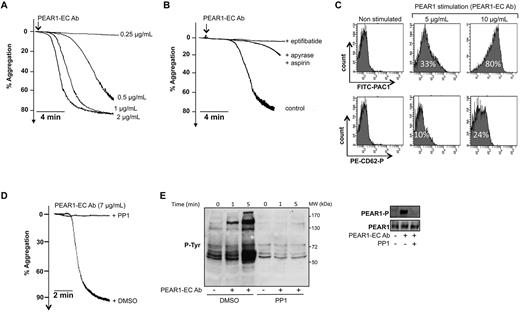 Figure 5. PEAR1-EC Ab-induced platelet aggregation. Washed platelet aggregation by PEAR1-EC Ab (A) at 0.25 to 2 μg/mL, (B) at 0.5 μg/mL, in the presence of eptifibatide (10 μg/mL) or apyrase (0.4 U/mL) and aspirin (550μM). Aggregations with PEAR1-EC Ab in the presence of IV.3 (10 μg/mL), traces representative of at least 5 independent experiments. (C) Flow cytometric measurement as MFI of activated αIIbβ3 (PAC1) and P-selectin (CD62-P) on activation of washed platelets with PEAR1-EC Ab (5-10 μg/mL). Activated integrin and CD62-P exposure are expressed as percentage of positive platelets in the fluorescence histogram for one experiment, representative of 3 independent analyses. (D) Inhibition of aggregation by PP1 (10μM) versus DMSO, as indicated. (E) Phosphorylation of total tyrosine (P-Tyr, 1 and 5 minutes) and PEAR1 (PEAR1-P, 5 minutes). Phosphorylation was analyzed in platelets incubated with PP1 (10μM) or DMSO for 10 minutes before activation with PEAR1-EC Ab (7 μg/mL) in unstirred conditions, in the presence of aspirin (550μM), apyrase (0.4 U/mL) and eptifibatide (10 μg/mL). Total PEAR1 was determined after stripping and reprobing. Data are representative of 3 experiments.