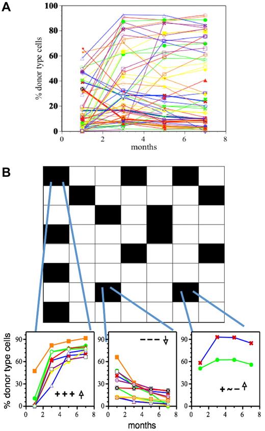 Figure 3. The heterogeneity of the HSC compartment derives from a limited number of distinct HSC classes. (A) HSC activity in several individual, clonally repopulated mice was followed for 7 months generating 3 segments for each repopulation kinetic. Shown are the percent donor type cells in blood measured at the indicated time points. (B) Distinct subsets of HSCs can be revealed when the repopulation kinetics are classified by symbolic analysis. Similarities between kinetics were quantified by Hamming distance.81 The squares represent the 54 possible HSC groups as defined by the 3 segments of the kinetics and a high (↑) versus low (↓) output of mature cells. Black squares represent the HSC groups actually found. The figures below the square are examples of the HSC subsets actually found. + indicates increase in mature cells over time; −, decrease; and ∼, no change. For details see Sieburg et al.4,81 This research was originally published in Blood.4