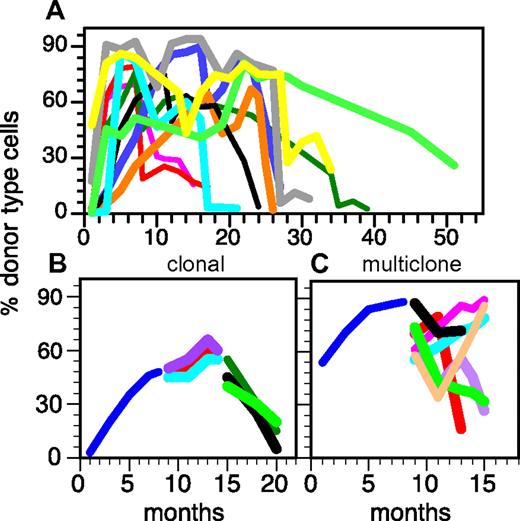Figure 4. The heterogeneity of life spans in the HSC compartment is derived from HSC clones with preprogrammed self-renewal capacity. (A) Single donor type HSCs were transplanted into individual hosts. Daughter HSCs were serially transplanted into multiple secondary, tertiary and, if possible, quaternary host to follow the HSC clones over extended periods.3 All HSCs have a limited life span, although the life span varies. (B) Representation of the serial transplants of an individual HSC demonstrating the synchronicity of HSCs within a clone. Note the similarities of the repopulation kinetics in the secondary hosts and the simultaneous extinction of all daughter HSCs in all tertiary hosts. Additional examples can be found in Sieburg et al.41 The behavior of daughter HSC contrasts with the extensive heterogeneity of secondary repopulation kinetics after a multiclonal graft (C). This representation exemplifies a multiclonal graft (2 × 105 BM cells) originally injected into a single ablated host. Blue line represents donor type cells in blood after the primary graft; and different colored lines, donor type cells in blood in secondary and tertiary hosts. This research was originally published in Blood.3,4
