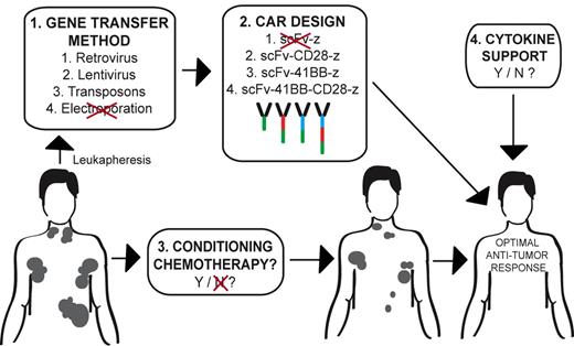 Many variables exist in the design of an optimized clinical protocol using autologous CAR-modified tumor-targeted T cells in the treatment of cancer. Patients undergo an initial leukapheresis to isolate autologous T cells. 1. CAR gene transfer of T cells may variably be achieved through retroviral-, lentiviral-, or transposon-mediated technology, with electroporation deemed unsuitable in this current report. 2. Optimal CAR design currently remains unclear although previously published data support a second- or third-generation CAR design over a first-generation CAR. 3. Conditioning therapy appears to favor T-cell persistence and an improved antitumor response. 4. However, the role of postinfusion exogenous cytokine support in obtaining an optimal antitumor response requires additional clinical study. Illustration by Hollie Pegram.
