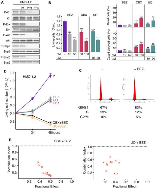 Figure 7. Combining NVP-BEZ235 with Obatoclax or UO126 eradicates proliferation of human HMC-1.2 leukemia cell line. (A) Whole-cell lysates from HMC-1.2 cells treated or not (−; DMSO) for 4 hours with IM (10μM), PP1 (10μM), or PP2 (10μM) were analyzed by immunoblotting with the indicated Abs. Data are from 1 representative experiment of 3. (B) HMC-1.2 cells were plated at 4 × 105 cells/mL and cultured in the absence (−; DMSO) or in the presence of indicated concentrations of NVP-BEZ235, Obatoclax (OBX), or UO126. Number of living cells, percentage of dead cells (trypan blue exclusion), and percentage of apoptotic cells (flow cytometry using anti-active caspase 3 Abs) were determined at 48 hours. Bar is mean ± SEM (n = 3). Statistical differences from the value of living cells control (−) are indicated as follows: ***P < .001; **P < .01; *P < .05 (by Student t test). Mortality after NVP-BEZ235 treatment was not significantly different (P > .05 by Student t test). (C) Representative cell-cycle distribution of HMC-1.2 cells treated or not (−; DMSO) with NVP-BEZ235 (50nM) for 48 hours. The percentages of living cells in the G0/G1, S, and G2/M phases of the cell cycle are indicated below. Data are from 1 of 3 independent experiments. (D) HMC-1.2 cells were plated at 4 × 105 cells/mL and cultured in the absence (V: DMSO) or in the presence of NVP-BEZ235 (25nM), Obatoclax (150nM), or UO126 (15μM) and the combination of NVP-BEZ235 (25nM) with Obatoclax (150nM) or NVP-BEZ235 (25nM) with UO126 (15μM). Viable cells were scored at 24 and 48 hours. Data are means ± SEM (n = 3). P < .001 comparing control cells with cells grown in the presence of NVP-BEZ235, Obatoclax, and/or UO126 (by Student t test). (E) The effects of BEZ and OBX or UO126 on cell proliferation were analyzed according to the Chou-Talalay method using CalcuSyn software.30 HMC-1.2 cells were treated with suboptimal concentrations of BEZ combined with suboptimal concentrations of OBX or UO126. The combination index values were determined from these dose-response curves for each combination. Combination index values of 0.9-1.1 indicate additive, 0.7-0.9 moderately synergistic, 0.3-0.7 synergistic, and less than 0.3 strongly synergistic effects.