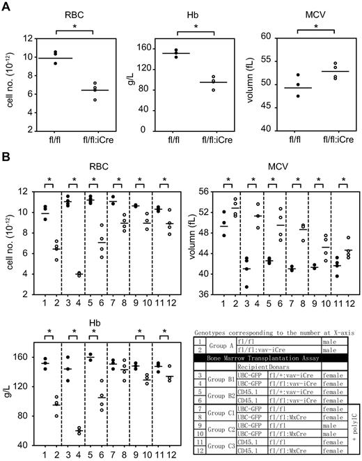 Figure 2. RHAU ablation leads to anemia. (A) Dot plots of total RBC counts, Hb values, and MCV from total blood count analysis from RHAUfl/fl and RHAUfl/fl:vav-iCre mice. (B) Dot plots of RBC, Hb, and MCV data from RHAUfl/fl and RHAUfl/fl:vav-iCre mice and recipient mice of BM transplantation assays. Genotypes of mice are shown in the table. The data points are presented in supplemental Table 3. *P < .05; n ≥ 3. ● represents control conditions; and ○, RHAU-ablated condition.