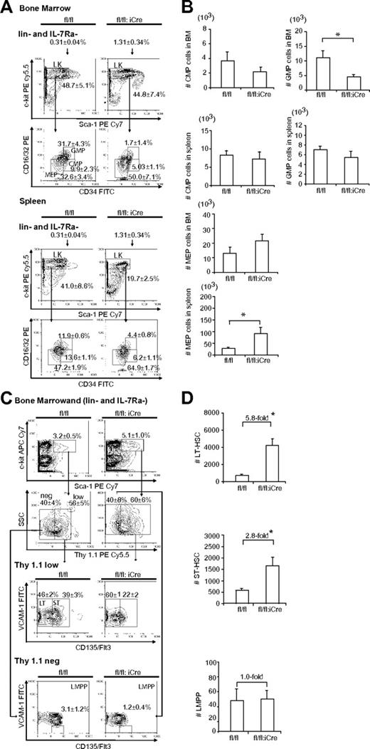 Figure 6. Effects of RHAU ablation on progenitors and stem cells. (A) FACS analysis of MEP, GMP, and CMP cells in BM and spleen. Lin−CD127Ra/IL-7Ra− living cells were gated and analyzed for c-kit+ and Sca-1− populations (LK). The LK subgroup was further gated for CD34 and CD16/32 (FcγR). CMPs, GMPs, and MEPs were identified as FcγRlowCD34+, FcγRhighCD34+, and FcγRlowCD34−, respectively. The mean proportions ± SEs of CMP, GMP, and MEP cells are indicated in the graphs. *P < .05; n = 6. (B) Absolute numbers of progenitor cells in the BM and spleen; *P < .05; n = 6. (C) FACS analysis of LT-HST, ST-HST and LMPP cells in BM. Lineage-negative BM cells were first gated to obtain IL-7Ra−Sca-1+c-Kit+ cells, which were further gated into 2 populations: Thy1.1lo/+ and Thy1.1−. These were further probed for VCAM-1 and Flt3/CD135 expression. LT-HSCs, ST-HSCs, and LMPPs were defined as Thy1.1+VCAM-1+Flt3−, Thy1.1+VCAM-1+Flt3+, and Thy1.1−VCAM-1−flt3+, respectively. The mean proportions ± SEs of different populations are indicated in the graphs; *P < .05; n = 6. (D) Effect of RHAU ablation on the numbers of stem cells. The mean numbers ± SEs of each cell type are shown as bar charts; *P < .05; n = 6.