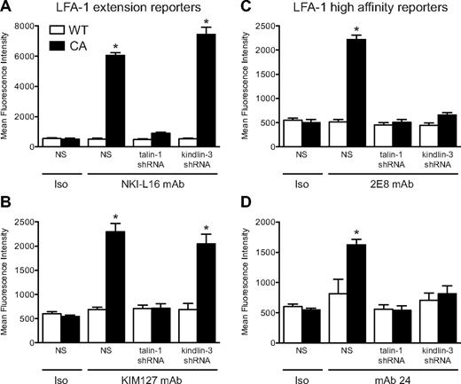 Figure 4. Rap1a-induced LFA-1 activation. (A-D) HL-60 cells with stable expression of shRNA to knock down talin-1 or kindlin-3, or nonspecific shRNA (NS), were incubated with cell-permeable wild-type (WT; open bars) or constitutively active (CA; closed bars) Rap1a peptides (1μM) in the presence of fluorescently labeled conformation-specific reporter mAbs. Flow cytometry was used to measure the binding of isotype (Iso) or (A) NKI-L16 mAb, (B) KIM127 mAb, (C) 2E8 mAb, and (D) mAb 24. Data are mean fluorescence intensity ± SEM (n = 4). *Significantly different from all conditions without the asterisk.
