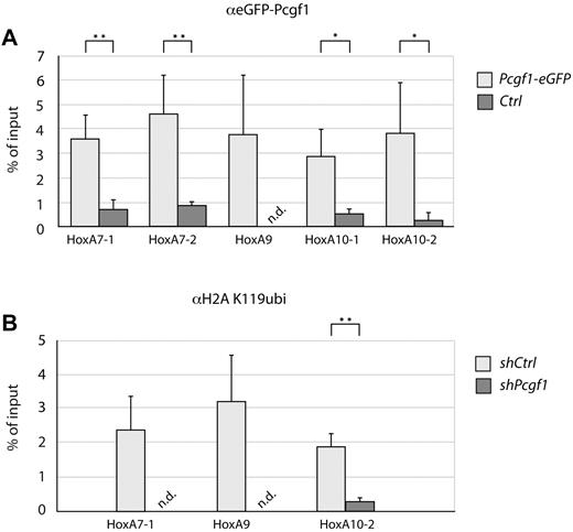 Figure 6. Pcgf1 binds to promoters of HoxA genes and promotes their ubiquitination. (A) ChIP was performed using Lin− BM from Pcgf1-eGFP or control mice. DNA was pulled down with an Ab specific for eGFP, and the abundance of HoxA7, HoxA9, and HoxA10 promoter DNA was compared in these 2 samples by qRT-PCR. For HoxA7 and HoxA10, 2 different primer pairs were used. (B) Lin− cells transduced with Pcgf1 (shPcgf1) or control shRNA (shCtrl) were subjected to ChIP using an Ab that recognizes ubiquitinated histone 2A (H2A K119ubi). Binding to Hox promoters was compared between samples by qRT-PCR with the indicated primers. Significance of changes was determined using the Student t test. *P < .05; **P < .01. n.d. indicates not detectable.