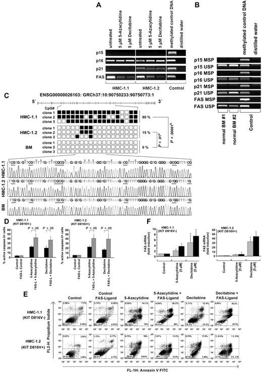 Figure 4. Effects of 5-azacytidine and decitabine on the 5′methylation status of FAS and FAS mRNA expression levels in neoplastic MCs. (A) HMC-1 cells were exposed to control medium (untreated), 5-azacytidine (5μM) or decitabine (5μM) for 96 hours. Then, the 5′methylation status of p15, p16, p21, and FAS was determined by MSP. EpiTect-methylated control DNA was used as positive-control. Vertical lines have been inserted to indicate a repositioned gel lane. (B) 5′methylation status of p15, p16, p21, and FAS in normal BM cells in 2 donors (#1 and #2) determined by MSP. To verify efficient sodium bisulfite conversion, we also performed unmethylated specific PCR (USP) for p15, p16, p21, and FAS. EpiTect-methylated and unmethylated control DNA were used as positive-control. (C) BGS of a part of the FAS CGI was performed as previously described using HMC-1.1 cells, HMC-1.2 cells, and normal BM cells. Black squares indicate methylated cytosines at CpG sites, and white squares represent unmethylated cytosines at CpG sites. Whereas in HMC-1.1 cells, 80% of all cytosines at CpG sites analyzed were methylated, 15% of all cytosines at CpG sites analyzed were methylated in HMC-1.2 cells. No methylation was detected in normal BM cells. The percentage of methylation and the significance by Fisher exact test (A) and χ2 test (B) are shown. The bottom panel shows representative chromatograms from BGS in HMC-1.1 cells, HMC-1.2 cells, and normal BM cells. Sites for methylation are underlined. Asterisks indicate cytosines that were converted to thymine. (D) HMC-1.1 and HMC-1.2 cells were incubated in control medium, 5-azacytidine (5μM) or decitabine (5μM) at 37°C for 48 hours (gray bars) or 96 hours (black bars). Thereafter, FAS mRNA expression was analyzed by qPCR. GAPDH served as a reference gene. Results show the fold-increase of mRNA expression and represent the mean ± SD of 3 independent experiments (*P < .05 compared with control). (E) HMC-1 cells were incubated with control medium, 5-azacytidine, or decitabine (each 5μM) in the absence or presence of FAS-ligand (1 ng/mL) for 96 hours. Then, annexin V/PI staining was performed. Results show the percentage of annexin V/PI+ cells. (F) HMC-1 cells were incubated in control medium, 5-azacytidine, or decitabine (each 5μM) in the absence (black bars) or presence (gray bars) of FAS-ligand (1 ng/mL) for 96 hours. Then, the numbers (percentage) of active caspase-3–positive cells were assessed by flow cytometry. Results show the mean ± SD of 3 independent experiments.