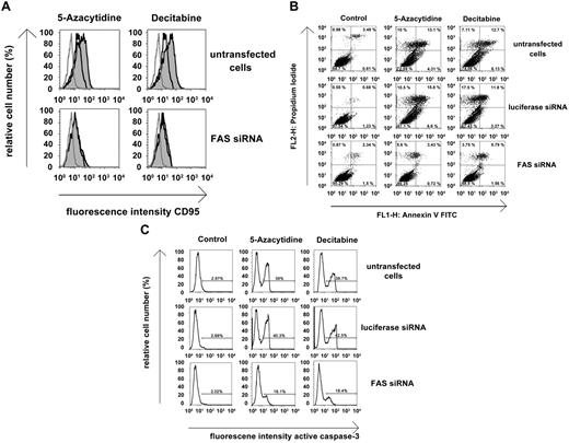 Figure 5. Effects of FAS siRNA on drug-induced FAS expression in HMC-1 cells and responsiveness against demethylating agents. (A) HMC-1.2 cells were kept in control medium (untransfected cells) or were transfected with siRNA against FAS (200nM) using lipofectin. Cells were then incubated in control medium (black-lined open histograms), 5-azacytidine, or decitabine (each 5μM, gray histograms) at 37°C for 30 hours. Thereafter, CD95 expression was analyzed by flow cytometry. Expression of FAS was compared with staining reactions produced by isotype-matched control antibodies (gray-lined open histograms). (B-C) HMC-1.2 cells were kept in control medium (untransfected cells) or were transfected with siRNA against luciferase (200nM) or against FAS (200nM) using lipofectin. After 1 hour, cells were incubated in control medium, 5-azacytidine, or decitabine (each 5μM) at 37°C for 30 hours. After incubation, annexin V/PI staining (B) or active caspase-3 staining (C) was performed by flow cytometry. Results show the percentage of annexin V/PI-positive cells determined by flow cytometry (B), and the percentage of active caspase-3–positive cells (C).