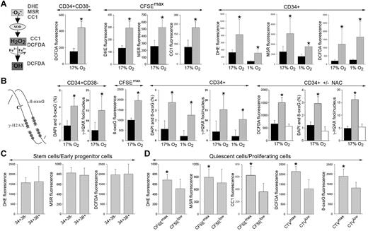 Figure 1. Elevated levels of ROS and oxidative DNA damage in primitive CML-CP CD34+ subsets. (A) DHE, MSR, CC1, and DCFDA were used to detect various ROS with different DNA damaging capabilities (left). ROS was measured in CD34+CD38−, quiescent CD34+CFSEmax (CFSEmax), and total CD34+ cells from healthy donors (black bars) and CML-CP patients (gray bars) in 17% and 1% O2, as indicated. (B) Diagram showing oxidative DNA lesions: 8-oxoG and DSBs (stained by γ-H2AX; left). 8-oxoG and γ-H2AX were detected by specific fluorescence in CD34+CD38−, quiescent CD34+CFSEmax (CFSEmax), and total CD34+ cells from healthy donors (black bars) and CML-CP patients (gray bars) maintained in 17% and 1% O2, as indicated (CD34+ ± NAC). CD34+ cells from healthy donors (black bars) and those from CML-CP patients were incubated (white bars) or not (gray bars) with 50μM N-acetyl-L-cysteine for 48 hours. ROS (DCFDA fluorescence), 8-oxoG, and γ-H2AX foci were detected. (C-D) ROS (DHE, MSR, CC1, and DCFDA fluorescence) and/or 8-oxoG was detected in CD34+CD38− and CD34+CD38+ CML-CP cells (C) and in CD34+(CFSEmax or CTVmax) quiescent and CD34+(CFSElow or CTVlow) proliferating CML-CP cells (D). Results represent means of 3-20 samples/group ± SD. *P < .05 compared with healthy counterparts (A-B), these treated with NAC (B), and CFSElow or CTVlow (D).