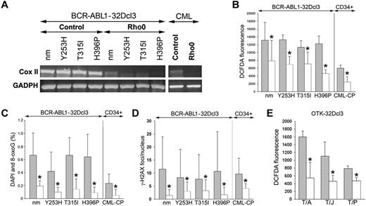 Figure 3. MRC-depleted BCR-ABL1 leukemia cells display reduced ROS and oxidative DNA damage. (A-D) BCR-ABL1-32Dcl3 cells expressing nonmutated BCR-ABL1 kinase (nm) and indicated TKI-resistant (TKIR) mutants and CD34+ cells from CML-CP patients (control cells, gray bars) were depleted of mtDNA (Rho0 cells, white bars). (A) Expression of Cox II and GADPH mRNA by RT-PCR. ROS were detected by DCFDA (B) and 8-oxoG (C) and γ-H2AX (D) foci were analyzed by immunofluorescence. (E) ROS were detected by DCFDA in 32Dcl3 cells expressing TEL-ABL1 (T/A), TEL-JAK2 (T/J), and TEL-PDGFβR (T/P; gray bars) and in corresponding Rho0 cells (white bars). Results represent mean values ± SD from a minimum of 2 experiments/group (A,B,E) and from 25-55 cells/group (C-D). *P < .05 compared with control cells.
