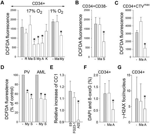 Figure 4. MRC-cIII is responsible for ROS-induced oxidative DNA damage in primitive CML-CP CD34+ subsets and in PV and AML cells. CD34+ (A), CD34+CD38− (B), and quiescent CD34+CTVmax (C) cells from CML-CP patients were incubated without (gray bars) or with (white bars) the indicated inhibitors (R indicates rotenone; Ma, malonate; S, stigmatellin; My, myxothiazol; A, antimycin; and K, KCN) for 3 hours in 17% or 1% O2 (A) and in 17% O2 (B-C). ROS were measured by DCFDA. (D) ROS were also measured by DCFDA in primary FLT3(ITD)–positive AML cells and in JAK2(V617F)–positive PV cells untreated (−) or treated with myxothiazol (My) or stigmatellin (S). Results show relative ROS levels compared with untreated cells. (E) Control L929 cells (E9) and clones containing a defective mutation in complex I (FG23-1) and complex III (A22) were cotransfected with BCR-ABL1–IRES-GFP or IRES-GFP expression plasmid. ROS was measured 72 hours later in GFP+ cells with CC1. Results represent the relative increase of ROS in BCR-ABL1+ cells. 8-oxoG (F) and γ-H2AX (G) DNA lesions were detected in CD34+ CML-CP cells incubated with malonate, antimycin A, or diluent (−) for 48 hours. Results represent mean values of a minimum of 3 measurements/group ± SD. *P < .05 compared with the untreated cells (A-D,F-G) and with E9 (E).