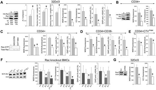 Figure 5. Rac2 induces mitochondrial ROS, oxidative DNA damage, and genomic instability. (A) BCR-ABL1-32Dcl3 cells were transfected with pMIG-HA-Rac(T17N)–IRES-GFP or LXSP-Rac(T17N) (T17N) and pMIG-IRES-GFP or LXSP (E) retroviruses. Expression of HA-tagged Rac(T17N) mutant and total Rac was detected by Western blot analysis. Results from cells expressing E and T17N are represented by gray and white bars, respectively. ΔΨm (JC-1 red/green fluorescence ratio), electron transport between MRC complexes I-III and II-III, ROS (MSR and CC1 fluorescence), 8-oxoG, and DSBs (marked by γ-H2AX) were assessed (respective panels). (B) CD34+ CML-CP cells were transfected with HA-Rac(T17N)–IRES-GFP (T17N) or IRES-GFP (E) retroviruses. Western blot analyses of the expression of HA-tagged Rac(T17N) mutant and total Rac in GFP+ cells. ROS (bar panels) were measured with MSR and CC1. CD34+ (C), CD34+CD38− (D), and quiescent CD34+CTVmax (E) CML-CP cells were untreated (−) or treated with NSC23766 or EHT1864. (C) Western blot. Rac activation assay: reaction samples (topbox) and total cell lysates (bottom box) were analyzed for Rac-GTP and total Rac protein content, respectively. (C-E bar panels) ROS (MRC and DCFDA fluorescence), 8-oxoG, and γ-H2AX were measured in untreated cells (gray bars) and in cells treated with NSC23766 (white bars) and EHT1864 (striped bars). (F) BCR-ABL1 detected by Western analysis in double-positive, Rac1Δ/Δ, Rac2−/−, Rac3−/−, and Rac1Δ/ΔRac2−/− muBMCs. ROS (MSR and CC1 fluorescence) and oxidative DNA lesions (8-oxoG) and DSBs (γ-H2AX) were detected (bar panels). (G) BCR-ABL1-32Dcl3 cells were transfected with pGFP-V-RS retroviral vector encoding Rac2-specific shRNA (shRNA) or scrambled RNA (Scr). Down-regulation of Rac2 in GFP+ cells was detected by Western blot analysis. ROS (MRC and CC1 fluorescence) were measured in GFP+ cells expressing Scr (gray bars) and shRNA (white bars). Results represent mean values of a minimum of 3 measurements/group ± SD (A-E,G) and mean values of 3-14 muBMC samples/group ± SD (F). *P < .05 compared with empty/Scr plasmid (A,B,G), untreated cells (C-E), and double-positive cells (F).