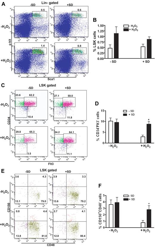 Figure 1. Salidroside prevents oxidative stress–induced HSC loss. (A) salidroside partially limits H2O2-induced LSK expansion. BM cells from WT C57BL/6 mice pretreated with or without salidroside (75μg/g body weight) followed by H2O2 (0.25 μmol/g body weight) injection were harvested for LSK (Lin-Sca1+c-kit+) cell frequency assessment using flow cytometry. (B) Quantification of LSK frequency in mice described in panel A. (C) SD prevents H2O2-induced LSK CD34-Flt3- cell loss. BM cells described in panel A were subjected to clow cytometry analysis for LSK CD34−Flt3− frequency. (D). Quantification of LSK CD34−Flt3− frequency in mice described in panel A. (E) SD prevents H2O2-induced LSK CD150+CD48− cell loss. BM cells described in panel A were subjected to Flow Cytometry analysis for LSK CD150+CD48− frequency. (F) Quantification of CD150+CD48− frequency in mice described in panel A. Results are means ± standard deviation (SD) of 3 independent experiments (n = 9 per group).