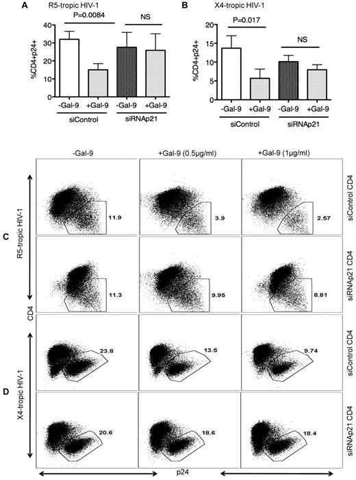 Figure 5. Gal-9–mediated up-regulation of p21 reduces the susceptibility of CD4+ T cells to HIV-1 infection. (A) Percentages of CD4+p24+ cells in activated CD4+ T cells in the presence of control or p21-specific siRNA; then stimulated with Gal-9 (1 μg/mL) 2 hours before HIV-1 infection with R-5-tropic (HIV-1JR-CSF) or (B) X-4 tropic (HIV-1LAI) isolate. (C) Representative example of dot plots from activated CD4+ T cells infected in the presence of p21-specific or control siRNA with R5-tropic HIV-1 isolate or (D) X4-tropic HIV-1 isolate in the presence (0.5 μg/mL or 1 μg/mL) or absence of Gal-9. Viral infection was measured by viral p24 antigen staining on CD4+ T cells using flow cytometry. Plots are representative of independent experiments performed on 3 different donors for each viral isolate. Significance was tested using paired t test.