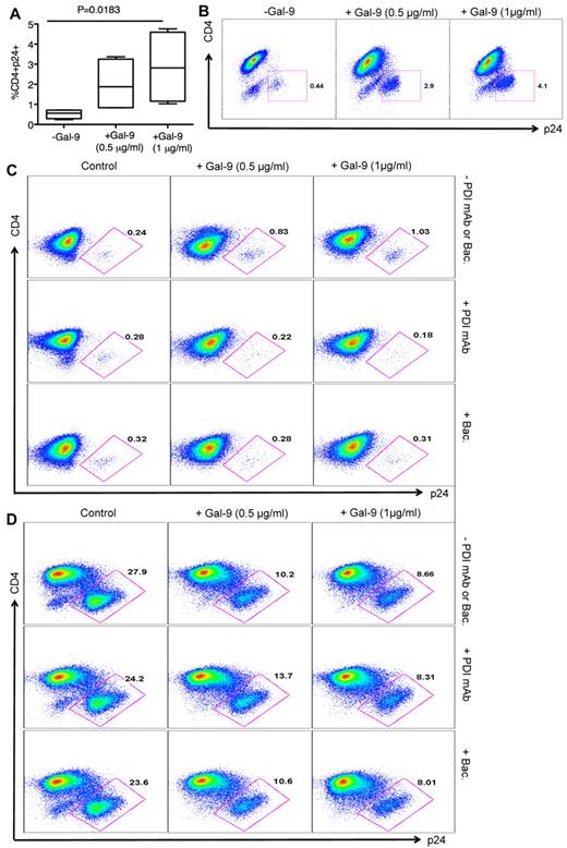 Figure 7. Gal-9 enhances HIV-1 infection of resting CD4+ T cells. (A) Percentages of CD4+p24+ in nonactivated CD4+ T cells in the absence or presence of Gal-9 (0.5 μg/mL or 1 μg/mL) 2 hours before HIV-1 infection with X-4-tropic (HIV-1LAI) isolates. Bounds of boxes denote interquartile range; lines within boxes denote median; and whiskers indicate range. Significance was tested using Kruskal-Wallis test. (B) Representative flow cytometry dot plots from CD4+ T cells stimulated with 0.5 μg/mL or 1 μg/mL Gal-9 before infection with X-4-tropic HIV-1 isolate in vitro. (C) Rested CD4+ T cells were incubated with bacitracin (+Bac), or anti-PDI mAb RL77 (1:3000 D) or in the absence of both (−PDI mAb or Bac). Then Gal-9 (0.5 μg/mL or 1 μg/mL) as indicated was added for 2 hours and cells were washed. Five days after infection, the number of infected cells with X4-tropic HIV-1 isolate was quantified by intracellular viral p24 antigen staining using flow cytometry. (D) PHA activated CD4+ T cells were incubated with bacitracin (+Bac), anti-PDI mAb RL77 (1:3000 D), or in the absence of both (−PDI mAb or Bac). Then Gal-9 (0.5 μg/mL or 1 μg/mL) as indicated was added for 2 hours and cells were washed. Five days after infection, the number of infected cells with X4-tropic HIV-1 isolate was quantified by intracellular viral p24 antigen staining using flow cytometry.