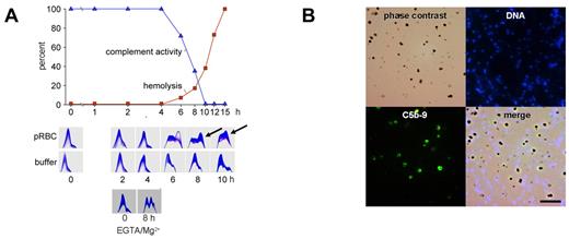 Figure 2. Complement activation occurs to completion on the surface of DVs but not on merozoites. (A) Late-stage pRBCs were cultured and allowed to rupture in the presence of 10% active human serum. Complement activity and hemolysis were recorded over time and found to be inversely correlated. Two-dimensional immunoelectrophoresis confirmed that C3 turnover occurred at the onset of hemolysis concomitant to the fall in complement activity (6 hours). Buffer controls (in the absence of pRBCs) are shown in the second row of panels. The bottom 2 plates show C3-immunoelectrophoresis at 0 and 8 hours from an experiment conducted with pRBCs in the presence of 10mM EGTA/2mM Mg2+. First-dimension electrophoresis is shown left to right and second-dimension immunoelectrophoresis bottom to top. (B) Synchronized late-stage pRBCs were allowed to rupture in active human serum, whereafter unlysed cells were pelleted and merozoites and DVs were harvested from the supernatants and stained for DNA or C5b-9. Top left is phase-contrast microscopy; top right, Hoechst 33342 DNA stain; bottom left, complement C5b-9 complex; bottom right, merge. Note selective staining of DVs for C5b-9.