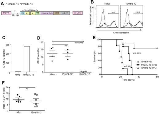 Figure 3. T cells (19mz/IL-12+) induce B-cell aplasias and tumor eradication in the absence of prior cyclophosphamide conditioning. (A) Schematic of CAR/IL-12 retroviral constructs. IRES indicates internal ribosome entry site. (B) 19mz and 19mz/IL-12 expression after retroviral gene transfer as assessed by flow cytometry demonstrated similar gene transfer. (C) Supernatant from 19mz/IL-12+ but not 19mz+ T cells demonstrates enhanced levels of IL-12p70. (D) B-cell aplasias in EL4(hCD19) tumor-bearing C57BL6(mCD19−/−hCD19+/−) mice treated with 19mz/IL-12, but not Pmz/IL-12 or 19mz+ T cells, as assessed by flow cytometric analysis of peripheral blood samples at 2 weeks postmodified T-cell infusion. (E) 19mz/IL-12+ T cells eradicated disease and enhanced the survival of EL4(hCD19) tumor-bearing mice. In contrast, Pmz/IL-12 T cells significantly enhanced the survival of EL4(hCD19) tumor-bearing mice compared with 19mz+ T cell treated mice but similarly failed to eradicate disease. (F) Tregs in the BM of 19mz/IL-12+ and 19mz+ T cell treated mice as assessed by flow cytometry. All results are representative of at least 2 independent experiments.
