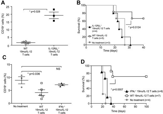 Figure 6. In vivo antitumor efficacy of IL-12–secreting targeted T cells is dependent on autocrine IL-12 stimulation and IFNγ secretion. (A) 19mz/IL-12+ T cells derived from C57BL6 IL-12Rβ2−/− mice, compared with 19mz/IL-12+ T cells derived from syngeneic C57BL6(mCD19−/− hCD19+/−) mice failed to induce either B-cell aplasias or eradicate systemic EL4(hCD19) tumors in C57BL6(mCD19−/− hCD19+/−) mice (B). (C) Similarly, 19mz/IL-12+ T cells derived from C57BL6 IFNγ−/− mice, compared with 19mz/IL-12+ T cells derived from syngeneic C57BL6(mCD19−/− hCD19+/−) mice were unable to induce B-cell aplasias, or eradicate systemic EL4(hCD19) tumors in C57BL6(mCD19−/− hCD19+/−) mice (D). Results shown are representative of 2 independent experiments.