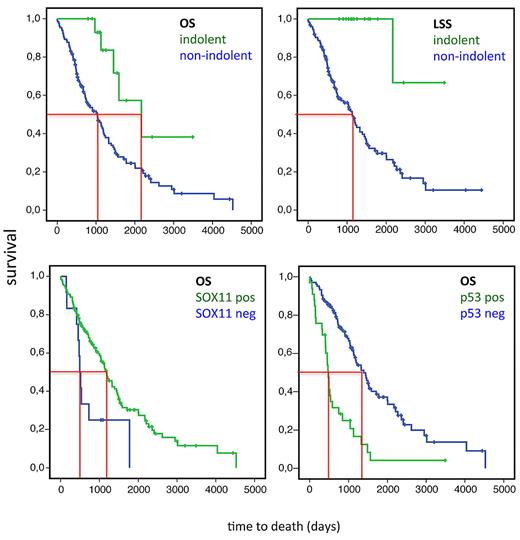 Figure 1. OS in MCL (excluding patients who had undergone ASCT as first-line therapy). (Top left) Median OS for MCL with an indolent clinical course (n = 16, defined as not requiring treatment within the first 2 years after diagnosis) and nonindolent MCL (n = 130) were 2168 days (5.9 years) and 1031 days (2.8 years), respectively (P = .004). (Top right) Median LSS for nonindolent MCL was 1133 days (3.1 years) and was not reached for indolent MCL. (Bottom left) Median OS for non-ASCT treated SOX11+ (n = 129) and SOX11− (n = 12) cases were 1180 days (3.2 years) and 494 days (1.5 years), respectively (P = .014). (Bottom right) Median OS for non-ASCT treated p53− cases (n = 104) and p53+ (n = 33) cases were 1391 days (3.8 years) and 477 days (1.3 years), respectively (P < .001).