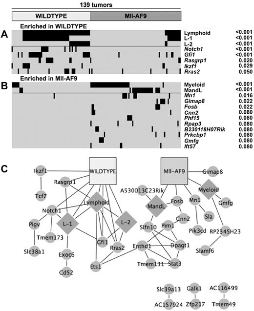 Figure 4. There are significant associations between CIS-associated candidate genes and disease phenotypes, experimental cohorts, and other CIS-associated candidate genes. Modified heat map of significant candidate gene and phenotype enrichment in (A) WT and (B) Mll-AF9 mice. Each horizontal tick mark represents a proviral insertion identifying a CIS or a positive marker for a given phenotype in a given mouse leukemia. Mice are divided into the 2 infected genotypes across the x-axis; significant phenotypes and candidate genes are along the y-axis. Positive significant associations of phenotypes and candidate genes are shown (P < .05). In addition, candidate genes are shown that were found in 4 separate animals only in Mll-AF9 leukemias (P = .08). (C) Network of significant associations between phenotypes, genotypes, and candidate genes. All associations with P values < .05 were used. Genotypes are shown in squares, phenotypes are shown in diamonds, and CIS-associated candidate genes are shown in circles.