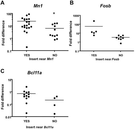 Figure 6. Quantitative real-time PCR analysis indicates higher expression of CIS-associated candidate genes in mice with insertions near those genes. Candidate gene transcript expression in spleens or lymph nodes of mice with insertion events near or away from those genes. Intron-spanning primers were designed. Expression was calculated using the ΔΔCT method41 and is shown in log scale. Expression level was normalized to the respective WT tissue. Each dot represents one PCR. Reactions were performed on cDNA isolated from leukemia with insertions near other CIS genes labeled with “NO.” (A) Reactions performed on cDNA isolated from leukemia with insertions near Mn1 and the novel gene C130026L21Rik labeled with “YES” (*significant P value < .05). (B) Reactions performed on cDNA isolated from leukemia with insertions near Fosb labeled with YES (P = .153). (C) Reactions performed on cDNA isolated from leukemia with insertions near Bcl11a labeled with YES (P = .172).