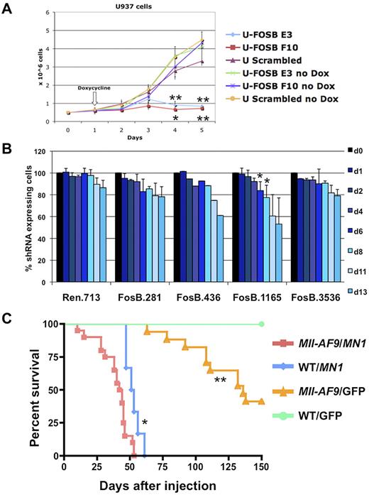 Figure 7. Fosb and Mn1 can contribute to AML maintenance or development of AML with MLL-AF9. (A) Growth curve of U937 cells with and without induction of shRNA against FOSB with doxycycline. The x-axis represents days after plating cells at 0.5 million cells/well; the y-axis is the number of cells per well in millions of cells. Doxycycline was added 24 hours after plating. Error bars reflect the SD of 3 wells/condition/cell line. Cell lines and conditions were labeled according to the legend (*significant P value < .05; **significant P value < .01). P values reflect paired t test comparing E3 or F10 shRNA U937 cells to U937 cells with a scrambled control, all treated with doxycycline. (B) shRNA competitive proliferation assay in Tet-On MLL-AF9;NrasG12D AMLs (expressing rtTA3) transduced with indicated TRMPV-Neo-shRNA targeting Fosb or Renilla luciferase. Cells were drug selected and mixed with 20%-40% untransduced cells, followed by shRNA induction with doxycycline. The percentage of shRNA-expressing cells is monitored over time. Error bars represent 2 or 3 independent experiments except in the case of 436 (*significant P value < .05). (C) Kaplan-Meier survival curve of mice injected with BM transduced with a retrovirus containing MN1 or GFP. The x-axis is the number of days after injection of cells into irradiated recipient mice; the y-axis is the percentage of survival. The study was ended at 150 days. Survival of mice receiving MN1-transduced Mll-AF9 BM was significantly shorter than that of mice with MN1-transduced WT BM (P = .0046) and mice with GFP-transduced Mll-AF9 BM (P < .0001); *significant P value < .001, **significant P value < .0001. A total of 52 mice were used in the study: Mll-AF9 BM/MN1 (n = 20), WT BM/MN1 (n = 6), Mll-AF9 BM/GFP (n = 21), and WT BM/GFP (n = 5).