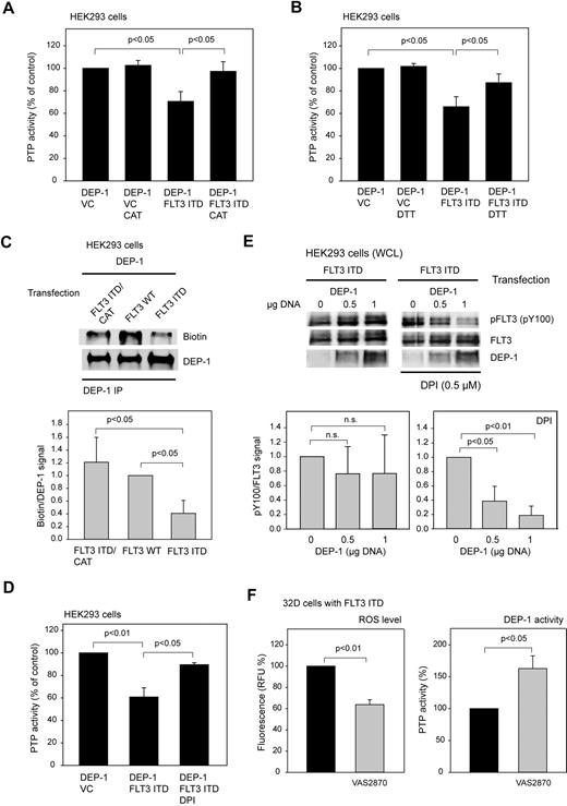 Figure 3. DEP-1 is inactivated by ROS in FLT3 ITD–expressing cells. (A) Rescue of DEP-1 activity by coexpression of catalase (CAT). The experiment was performed as in Figure 1E (means of normalized values for 3 separate experiments ± SD, significance tested by t test). (B) Partial recovery of DEP-1 activity by DTT treatment. DEP-1 was immunoprecipitated from HEK293 cells, which were transiently transfected as indicated. The immunoprecipitates were treated with 5mM DTT at room temperature for 10 minutes, or mock-incubated without DTT as indicated, then washed 3 times with PTP assay buffer, and the activity was subsequently assayed using the phosphopeptide substrate (values corrected for nonspecific precipitation with IgG controls; means of normalized values for 3 separate experiments ± SD, significance tested by t test). (C), FLT3 ITD causes ROS-mediated modification of the DEP-1 catalytic cysteine. HEK293 cells were transiently transfected with the indicated expression constructs, and lysed in the presence of biotinylated iodoacetate (EZ-link idoacetyl-PEG2-biotin). DEP-1 was immunoprecipitated, and incorporation of biotin was assessed by immunoblotting. The blot was reprobed for comparable amounts of DEP-1. A representative experiment (top panel) and quantification of 3 experiments (means of normalized values for the ratio of signals for biotinylated DEP-1 and total DEP-1 ± SD, significance tested by t test, bottom panel) is shown. (D-E) DPI reactivates DEP-1 in FLT3 ITD–expressing cells. HEK293 cells were transiently transfected with the indicated expression constructs, and were left untreated or were treated with 0.5μM DPI for 6 hours before lysis. Thereafter, DEP-1 activity was assessed in immunoprecipitates (D; values corrected for nonspecific precipitation with IgG controls; means of normalized values for 3 separate experiments ± SD, significance tested by t test), or phosphorylation of FLT3 ITD was analyzed by immunoblotting (E). Top panel: representative experiment. Bottom panel: quantification of 3 separate exeriments (means of normalized values for the ratio of signals for phosphorylated FLT3 and total FLT3 ± SD, significance tested by t test). (F) VAS2870, a NADPH-oxidase inhibitor, reactivates DEP-1 in FLT3 ITD–expressing cells. FLT3 ITD–expressing 32D cells were treated with 50μM VAS2870 for 5 hours, thereafter ROS levels were determined using carboxy-H2DFFDA and the DEP-1 activity was assayed measuring dephosphorylation of a phosphotyrosine-containing phosphopeptide with the malachite green assay in DEP-1 immunoprecipitates (means of normalized values for 3 separate experiments ± SD, significance tested by t test). Cell lysis, immunoprecipitation, and activity assay were performed in an anaerobic chamber.