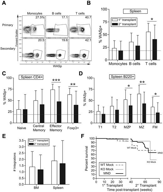 Figure 4. The MND-huWASp LV transduces long-lived hematopoietic stem cells. (A) Representative flow cytometric WASp expression in PB leukocytes from primary or secondary recipients. The primary recipient in top panel was used to reconstitute secondary recipient in the bottom panel. (B-D) Summary of WASp expression in primary versus secondary recipients for splenic total hematopoietic populations (B); T-cell (C) and B-cell (D) subsets. The dotted line represents proportion of WASp+ monocytes in secondary recipients. (E) Number of viral integrations within total spleen or BM was calculated using real-time PCR. (F) Kaplan-Meier curves were generated on the basis of overall animal survival during the nearly 2-year follow-up period including both primary and secondary recipients. Error bars represent SD based on 19 primary and 34 secondary recipients (*P < .05; **P < .01; ***P < .001).