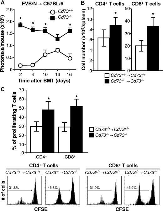 Figure 2. CD73 deficiency leads to increased expansion of allogeneic T cells after BMT. All BMTs were performed on lethally irradiated mice as described in “BMT model and induction of GVHD.” (A) Cd73+/+ and Cd73−/− C57BL/6 mice (3 each) were transplanted with 5 × 106 BM cells and 1 × 106 CD4+/CD8+ splenic T cells from a Cd73+/+ luc+-transgenic FVB/N donor. In vivo expansion of luc+ T cells was quantified by BLI and is shown at sequential time points (mean ± SEM; representative results from one of 2 independent experiments). *P < .05. (B) Cd73+/+ or Cd73−/− C57BL/6 mice were transplanted with 5 × 106 BM cells and 10 × 106 spleen cells from Cd73+/+ or Cd73−/− BALB/c mice, respectively. Six to 7 days after BMT, numbers of donor CD4+ and CD8+ T cells in recipient spleens were determined by flow cytometry (mean ± SD; n = 3-5/group). *P < .05. The results are representative of 3 independent experiments. (C) Cd73+/+ or Cd73−/− C57BL/6 mice were transplanted with 5 × 106 BM cells and 10 × 106 CFSE-labeled spleen cells from Cd73+/+ or Cd73−/− BALB/c mice, respectively. Three days later, spleens were harvested and proliferating donor CD4+ and CD8+ T cells were identified by loss of CFSE intensity. The results are representative of 3 similar independent experiments (n = 3-5/group). Data are summarized as the percentage of proliferating donor CD4+ and CD8+ T cells (mean ± SD). *P < .05.