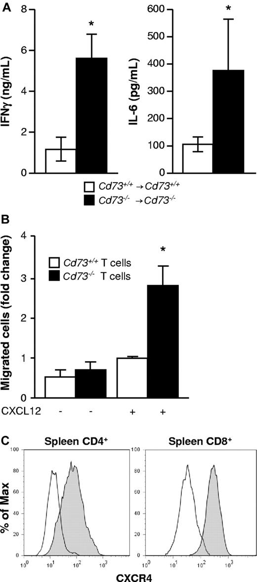 Figure 3. Serum proinflammatory cytokines are increased in CD73-deficient allogeneic BMT recipients, and CD73 is not required for T-cell migration in vitro. (A) Cd73+/+ or Cd73−/− C57BL/6 mice were exposed to lethal irradiation and transplanted with 5 × 106 BM cells and 10 × 106 spleen cells from Cd73+/+ or Cd73−/− BALB/c mice, respectively. Six to 7 days later, serum was collected from recipients, and the concentrations of IFN-γ and IL-6 were determined by ELISA (n = 5/group, mean ± SD). *P < .05. The data are representative of 3 similar independent experiments. (B) In vitro migration of CD4+ and CD8+ T cells purified from Cd73+/+ or Cd73−/− C57BL/6 mice along a CXCL12 gradient as described in “T-cell migration assay.” The data were normalized to the migration of Cd73+/+ T cells in the presence of CXCL12 and are expressed as mean fold increase ± SEM. *P = .0014. Pooled results are shown from 4 independent experiments performed with 3 or 4 replicates each for the CXCL12 containing wells. (C) Lethally irradiated BALB/c mice (n = 4) were transplanted with 5 × 106 BM cells and 3 × 105 CD4+/CD8+ T cells from a C57BL/6 donor. On day 8, CD4+ and CD8+ donor splenic T cells were analyzed for the expression of CXCR4 by flow cytometry. Open histograms represent isotype control staining.