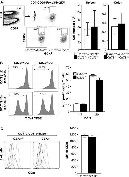 Figure 4. The exacerbation of GVHD by CD73 deficiency cannot be explained by differences in numbers of Tregs or allostimulation by DCs. (A) Lethally irradiated Cd73+/+ or Cd73−/− C57BL/6 mice were transplanted with 5 × 106 BM cells and 15 × 106 spleen cells from Cd73+/+ or Cd73−/− BALB/c mice, respectively. On day 6, the numbers of donor Treg (CD4+CD25+Foxp3+) in spleen were determined by flow cytometry (mean ± SD; n = 5). P > .05. In other experiments, lethally irradiated Cd73+/+ BALB/c mice were transplanted with 5 × 106 BM cells and 3 × 105 CD4+/CD8+ T cells from Cd73+/+ or Cd73−/− C57BL/6 mice. Lymphocytes were isolated from the colon on day 8 and analyzed for the numbers of donor Treg (mean ± SD; n = 3). P > .05. The results are representative of 2 independent experiments. (B) In vitro expansion of CFSE-labeled WT BALB/c CD4+ T cells stimulated with BMDCs derived from a Cd73+/+ or Cd73−/− C57BL/6 mouse. Left panels: Representative histograms from one of 3 independent experiments show CFSE intensity of WT CD4+ cells after 5 days at different coculture ratios. Right panel: Comparison of the percentages of proliferating WT CD4+ T cells stimulated with either Cd73+/+ or Cd73−/− BMDCs for 5 days (mean ± SEM). P > .05. (C) Twenty-four hours after lethal irradiation, spleens were isolated from Cd73+/+ and Cd73−/− C57BL/6 mice, and the expression of CD86 on CD11c+CD11b+B220− DCs was analyzed by flow cytometry. Histograms are representative of 2 independent experiments. Shaded and solid line histograms represent staining of DCs from nonirradiated mice with isotype control and anti-CD86 mAb, respectively. The dotted line histogram represents staining of DCs from irradiated mice with anti-CD86 mAb. The data are summarized as mean ± SD; mean fluorescence intensity (MFI) of CD86 staining (n = 3). P > .05.