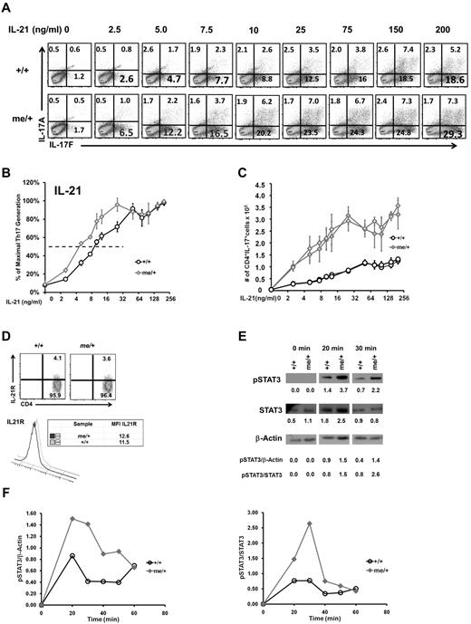 Figure 7. SHP-1 negatively regulates IL-21–mediated Th17 development. (A) Representative IL-21 dose-response assay. CD4+ T cells from +/+ and me/+ C57BL/6 mice that were cultured under Th17-inducing with the indicated IL-21 concentrations followed by intracellular staining for IL-17A/F. Profiles show CD4+-gated population. (B) Relative Th17 T-cell generation in IL-21 dose-response assays comparing +/+ and me/+ T cells (maximum % Th17 cells: 23% +/+, 30% me/+). EC50: +/+ cells 10 ng/mL IL-21 (n = 6); and me/+ cells 5 ng/mL IL-21 (n = 6; P = .01). (C) Representative graph of absolute numbers of IL-17+CD4+ T cells generated in IL-21 dose-response assays, as shown in panel A. (D) IL-21R surface expression of splenic CD4+ T cells. (E) CD4+ T cells (0.7 × 106) purified from +/+, me/+, and me/me C57BL/6 mice were stimulated with IL-21 for the indicated times and assessed for STAT3 phosphorylation (Tyr705), STAT3, and β-actin protein expression by immunoblotting. Numbers represent relative band densities in arbitrary units. (F) Kinetics of IL-21–induced STAT3 phosphorylation presented in panel E. pSTAT3 band densities normalized to β-actin (left panel) and pSTAT3 band densities normalized to STAT3 (right panel). Data represent 2 or 3 independent experiments with multiple mice per genotype.