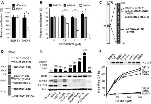 Figure 1. Identification of CD45 mutations in T-ALL. (A) DND-41 is sensitive to JAK1 knockdown. SUP-T1 and DND-41 cells were electroporated with a JAK1 targeting or scrambled control siRNA. Cell proliferation was normalized to scrambled control. The average ± SEM of 3 repeats is shown. *Statistical significance. (B) DND-41 is sensitive to JAK inhibition. SUPT-1, HPB-ALL, and DND-41 cells were treated with increasing concentrations of JAK inhibitor INCB018424. Cell proliferation was normalized to DMSO-treated cells. The average ± SEM of 3 repeats is shown. *Statistical significance. (C) IL-7R mutations identified in a sequencing screen in T-ALL patients (bold) and cell lines. (D) PTPRC nonsense and mis-sense variants identified in a sequencing screen in T-ALL patients (bold) and cell lines. (E) Western blot and quantitative PCR analysis of 9 T-ALL cell lines showing low CD45 expression and constitutive JAK1/STAT5 autophosphorylation in DND-41. PTPRC mRNA values are relative to hypoxanthine phosphoribosyl transferase and normalized to P12-Ichikawa. (F) Phosphatase activity of CD45 mis-sense variants. Beads coupled to wild-type and variant CD45 were incubated with increasing concentrations of DiFMUP, and initial rates of conversion to DiFMU were determined for each variant. The average ± SEM of 3 repeats is shown. Equal loading was assayed by Western blot analysis. D819V indicates phosphatase-dead CD45 mutant.